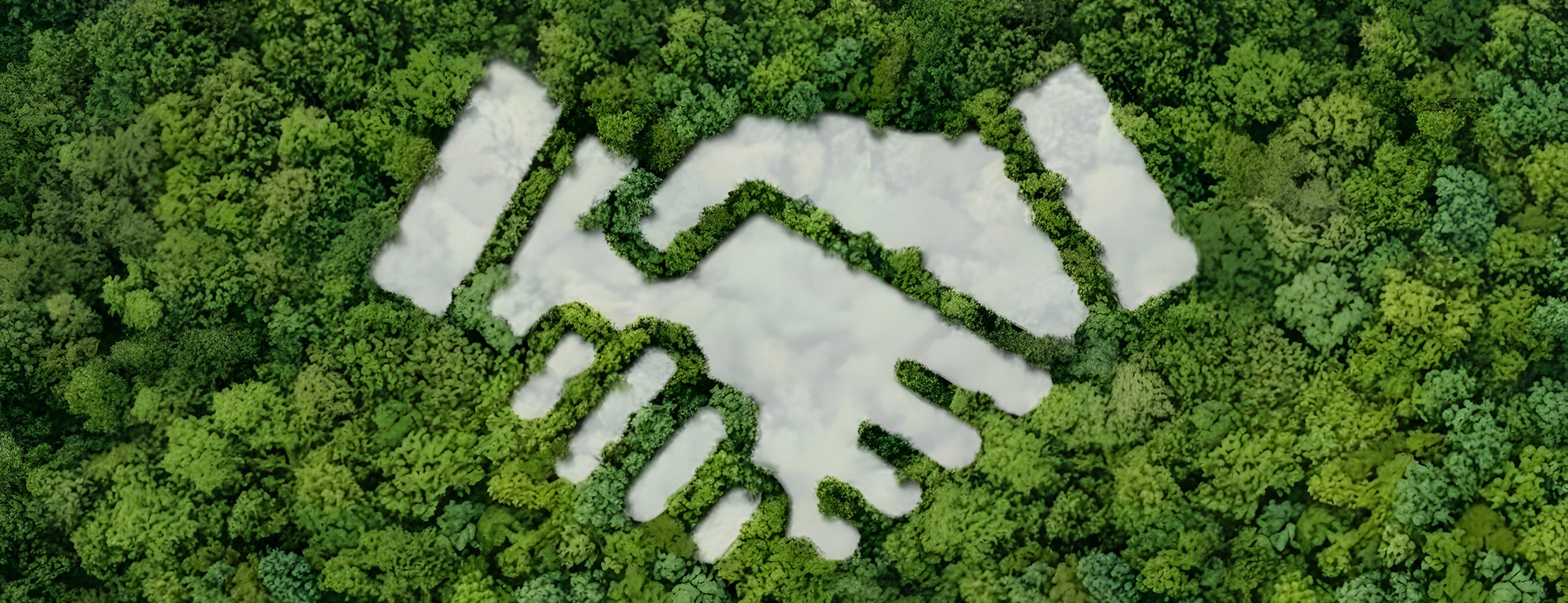 Una stretta di mano disegnata dalla natura: due mondi, un unico partner